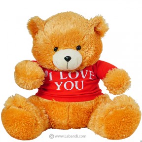 I Love You Beary Much Teddy