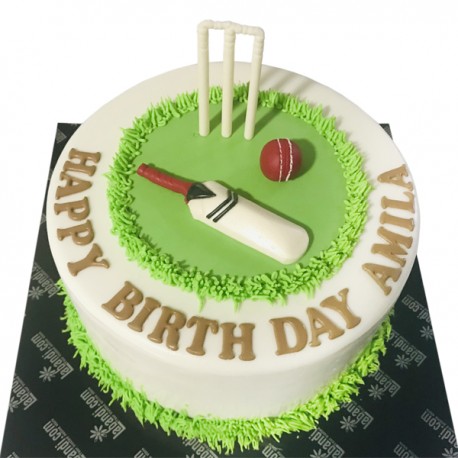 Cricket Cake - Sagar Hospital