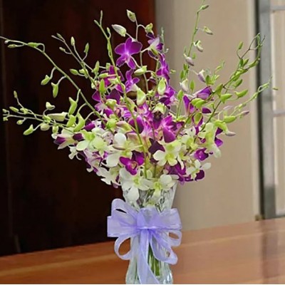 Purple And White Orchids...