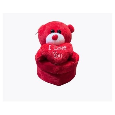 Love Teddy with Gift Box